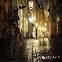 谢进伟