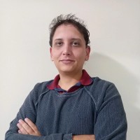 Marcelo Meirelles