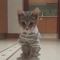 史玉坤