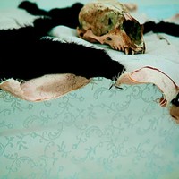 Daniel Ritchie Whitcroft