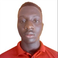 Timileyin Ogunleye
