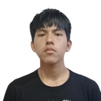ANDY MORI JULCA