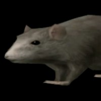 Thomas S.