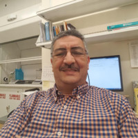 Abderrahim Farina