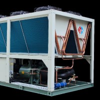 Donna Shi -H.Stars Group