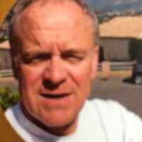 Henk Bonarius