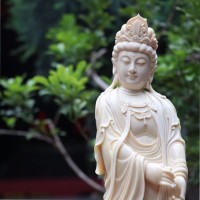 何志煌