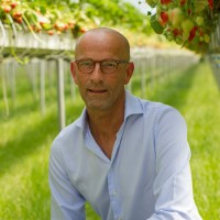 Frans De Vogel