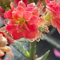 高兴睿