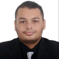 Mahmoud Mohsen