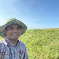 Harshad Vijay Kulkarni