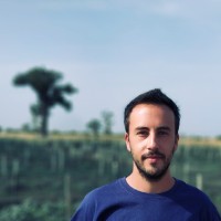 Simone Francesco Mincuzzi