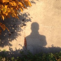 Matthieu FORTIN