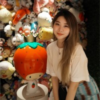 Ha Anh Tran Le