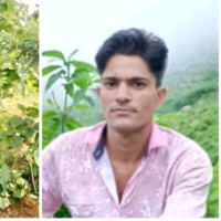 Ankit Jangir