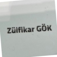 Zulfikar Gok