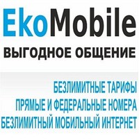 Инна Селянкина