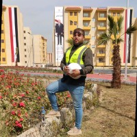 Mohamed Nasr