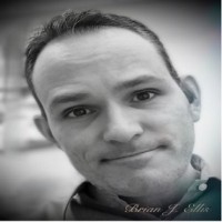 Brian J Ellis, PhD, BSN