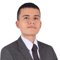David Araque P.