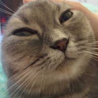 Susan _Richtech