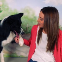 Mónica Panisello Avid