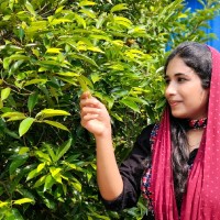 Aysha beevi