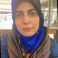 Saeedeh firouzi monfared