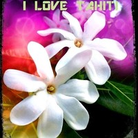 LOGOKETATAU TAUPAUKEMAU