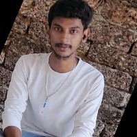 Bharathiraja P