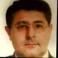 Zia Mian