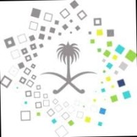 Manahil Alotaibi , Pmp , C-Sbp