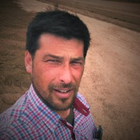 Dario A. Rocchiccioli