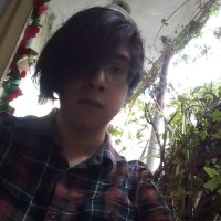 Alfredo Emilio Salgado Gómez