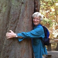 Judith Stark