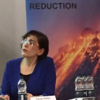 Farnaz Arefian