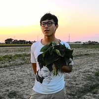 李秉獻