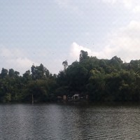 Ian Andriana