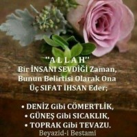 Berrin Ozay