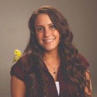 Erin Tierney-Heggenstaller