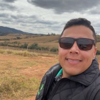 Walder Henrique Bernardes Simões