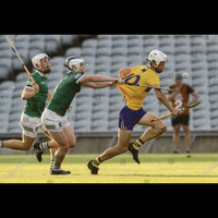 Oisin O Donnell