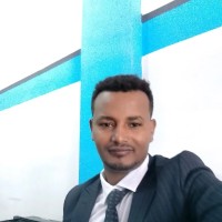 Bayisa Habtamu