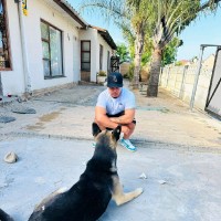 Dailyn Groenewald