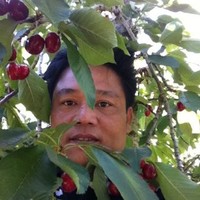 Minh Do