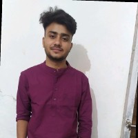 Ravi Kumar Meena