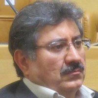 Saeed Zakerzadeh