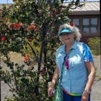Diane Feibel