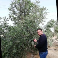 مصطفى َالجوهري