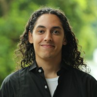 Henrique P. Saraiva